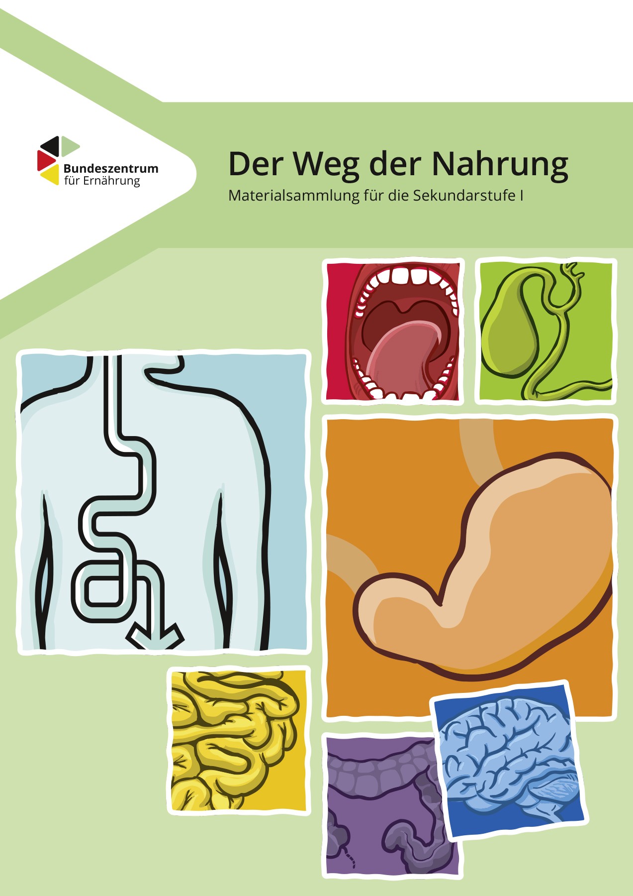 Arbeitsblätter zum Verdauungssystem für Kinder