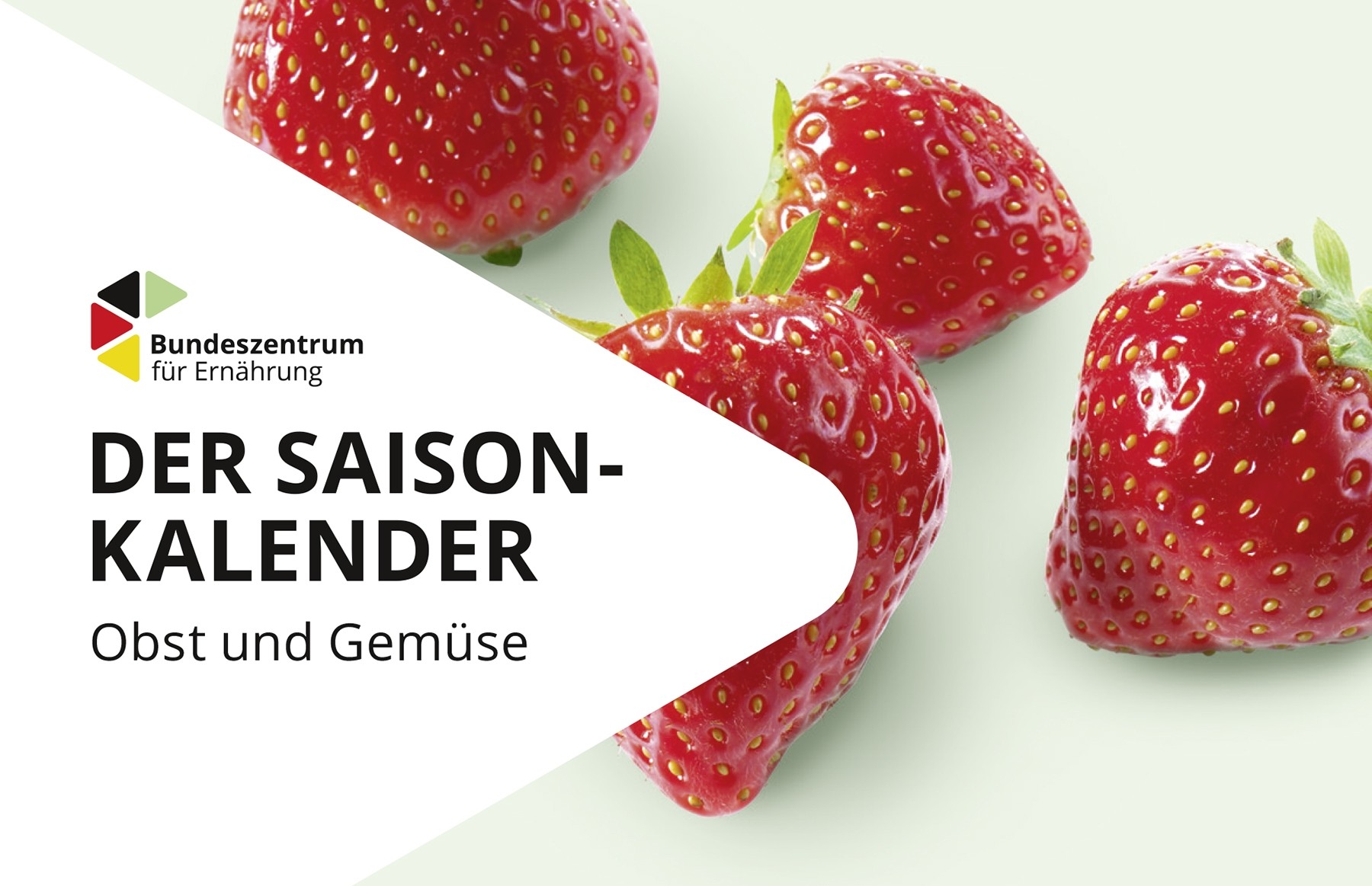 Der Saisonkalender Obst und Gemüse Taschenformat, nur im 10er Pack