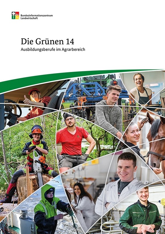 Die Grünen 14